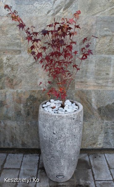 kö virágtartók,beton virágtartók,kaspó,balkonláda,virágláda,virágtartó,kaspó